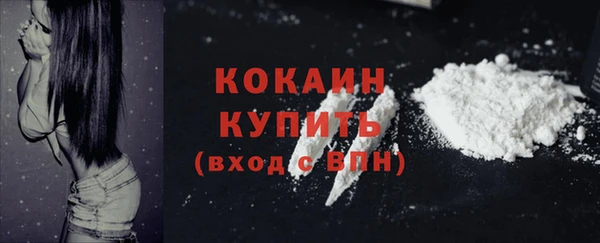 тгк Горнозаводск