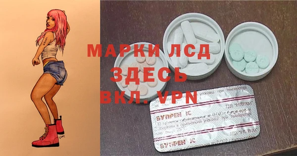 тгк Горнозаводск