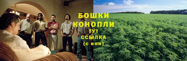 винт Горняк