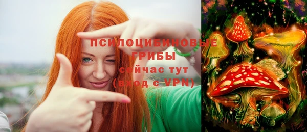 винт Горняк