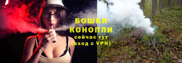 тгк Горнозаводск