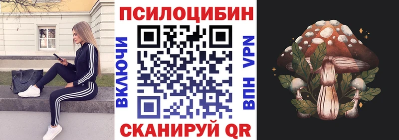 Псилоцибиновые грибы Psilocybine cubensis Рубцовск
